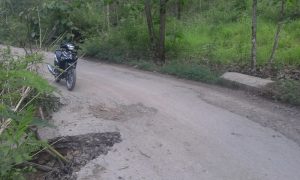 Foto: Evo