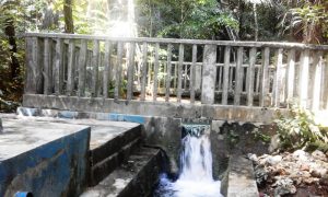 Sumber Mata Air Webot ( We Mane)